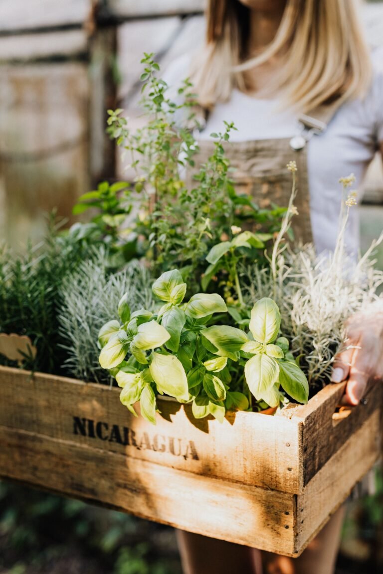 grow herbs you actually use in the kitchen