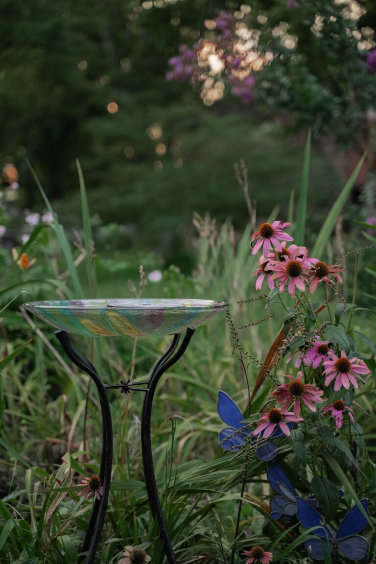How to Make a Small Garden Better for Wildlife
