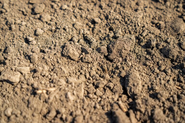 improve compacted garden soil