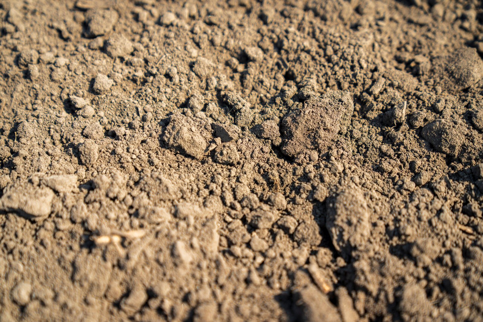 improve compacted garden soil