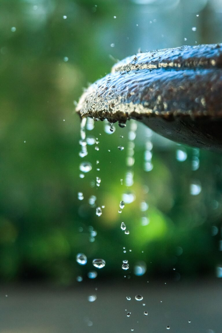 How to Add a Small Water Feature Without Digging a Pond