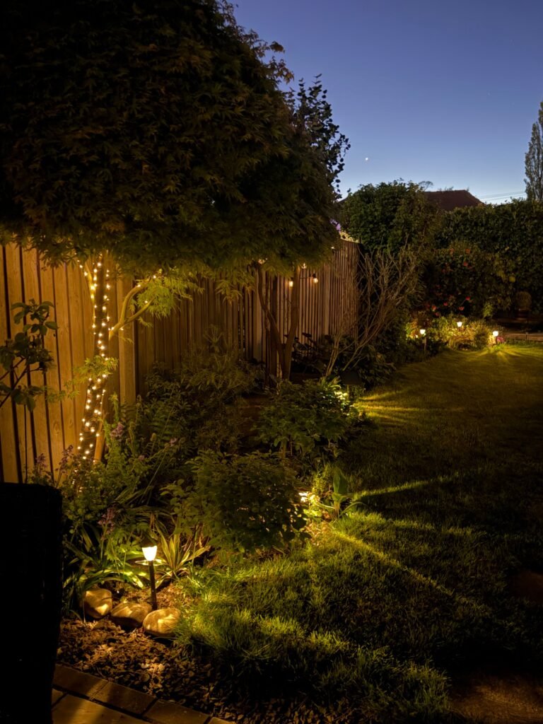 How lighting can transform a garden at might