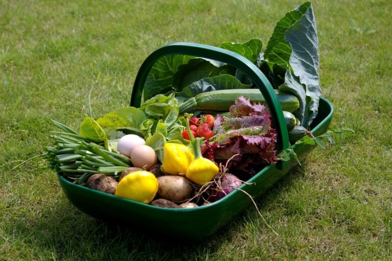 How Do You Know When Vegetables Are Ready to Pick?